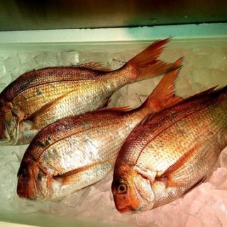 スーパーで人気の赤魚とは あかうおと読みます あかぎょ じゃないですよ お魚をどうぞ お魚のネタ帳