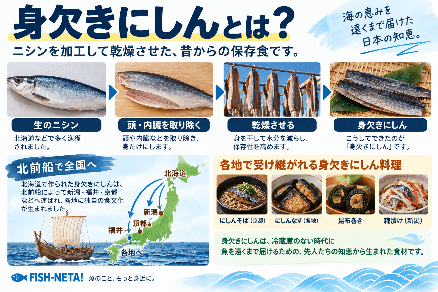 身欠きにしんとは？どんな食べ物？名前の由来や食べ方を水産卸が解説