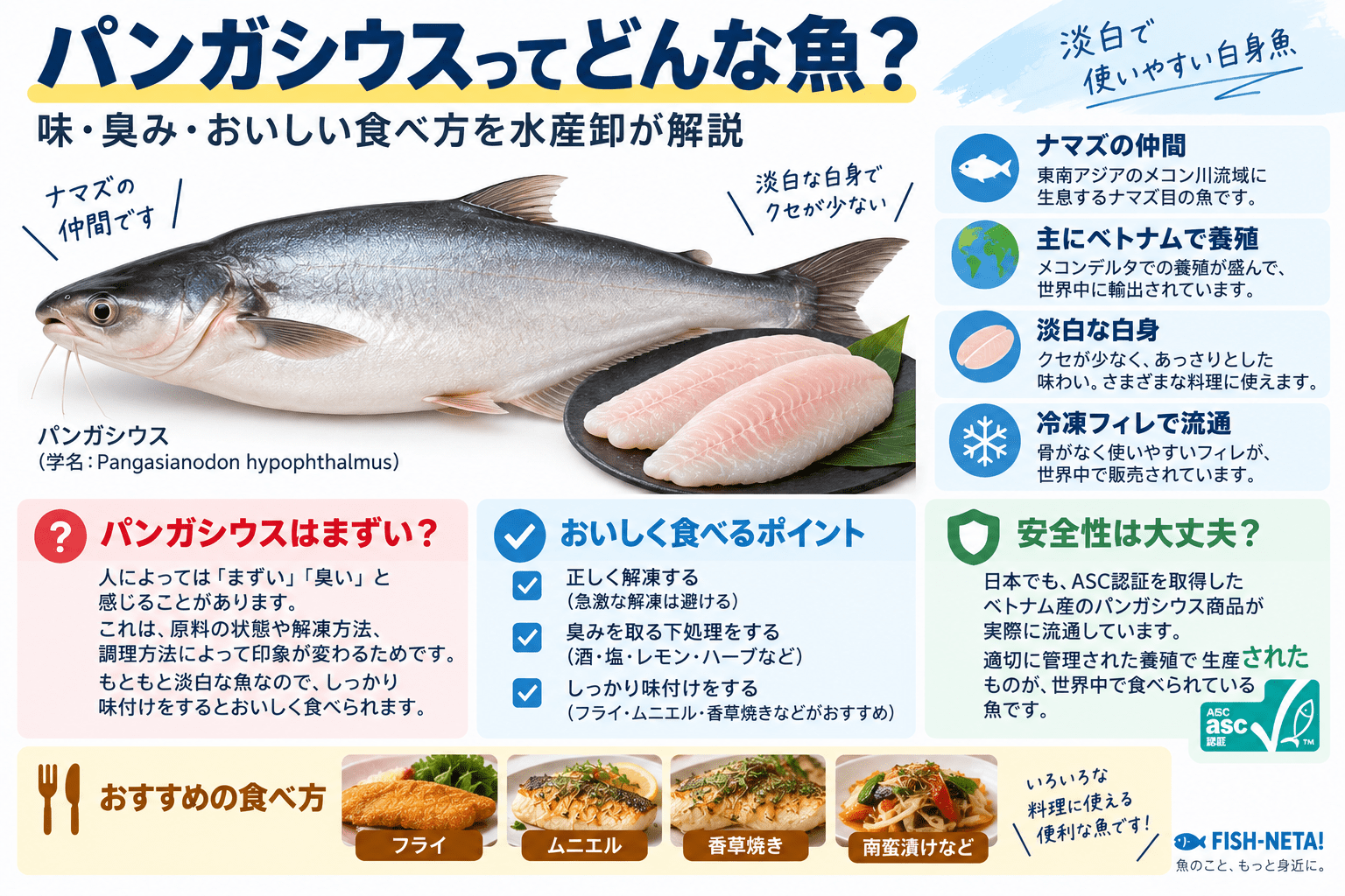 パンガシウスはまずい？どんな魚？味・臭み・おいしい食べ方を水産卸が解説