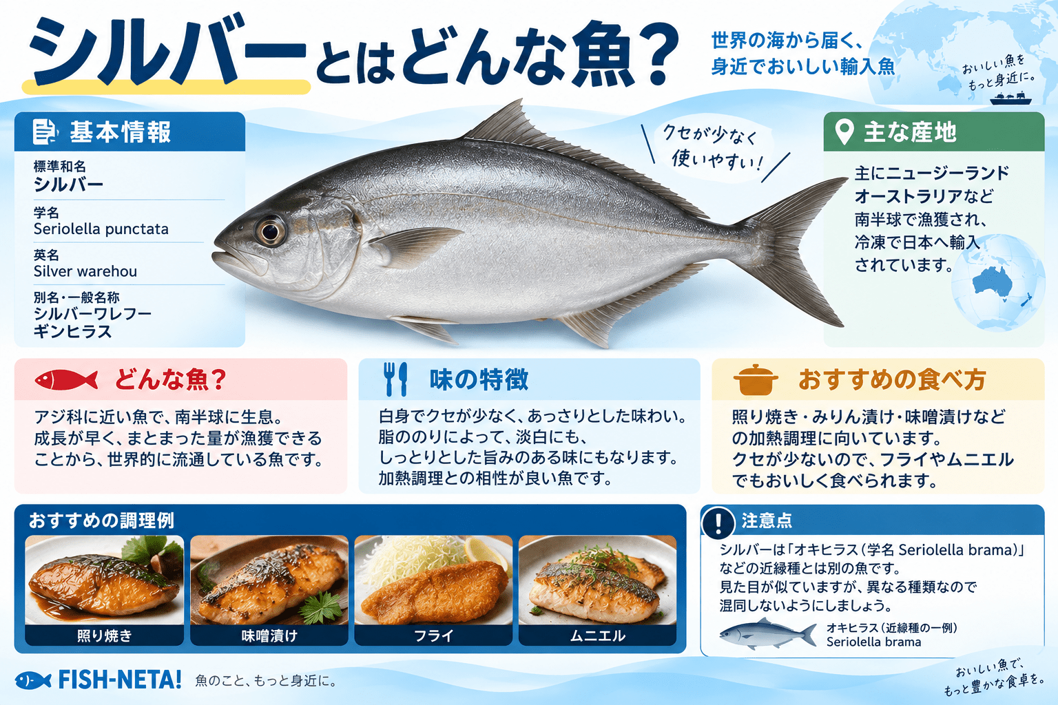 シルバーとはどんな魚？銀ヒラスとの違い・味・食べ方を水産卸が解説