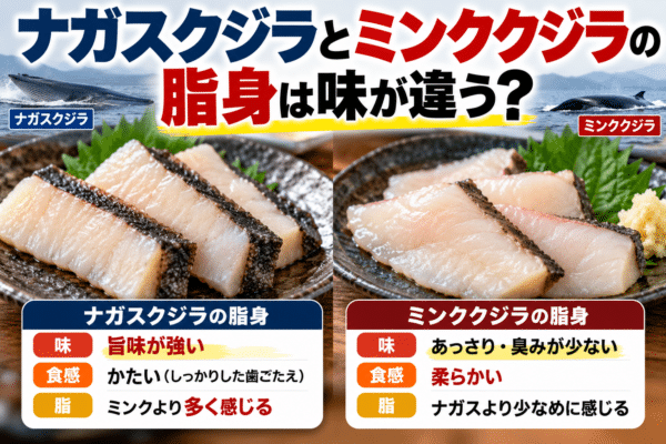 ナガスクジラとミンククジラの脂身は味が違う？実際に食べ比べてみた