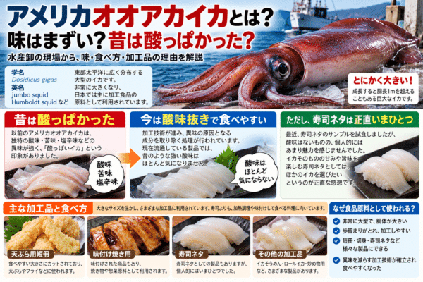 アメリカオオアカイカとは？味はまずい？昔は酸っぱかった巨大イカを水産卸が解説