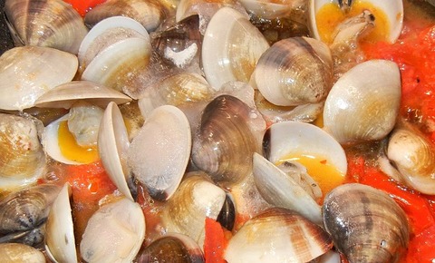 clams-706132_640