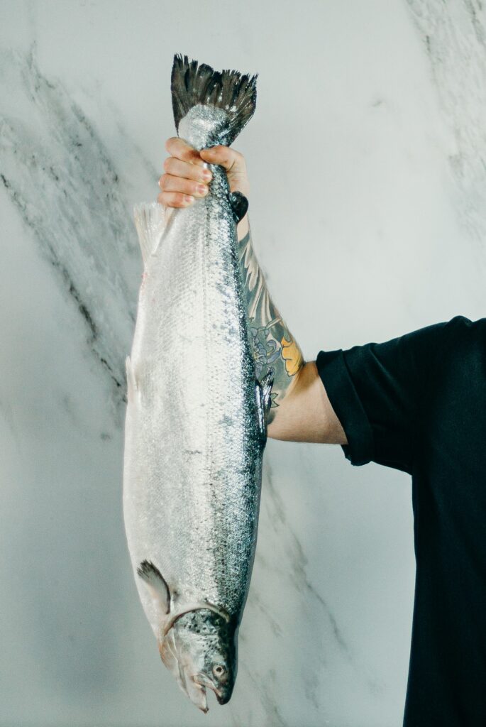 チリ銀鮭の特徴は？チリから輸入される、人気のチリ銀鮭を解説します。